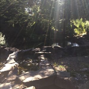 Meet your Posher, Rona